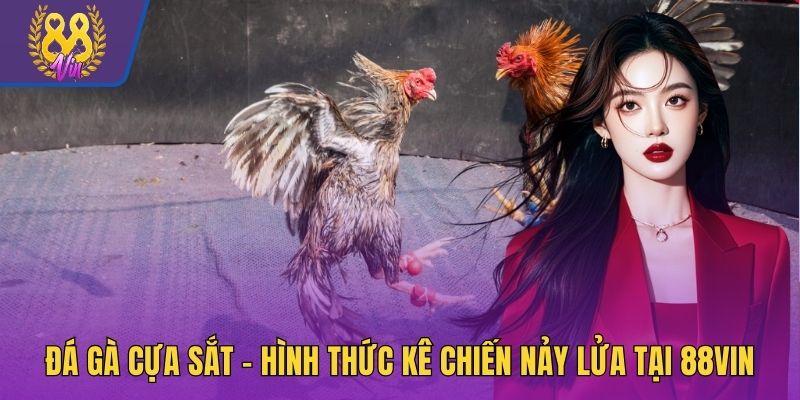 Đá gà cựa sắt