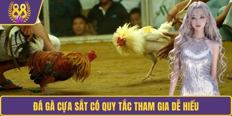 Đá gà cựa sắt có quy tắc tham gia dễ hiểu