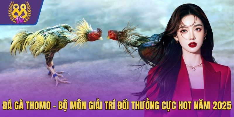 Đá gà Thomo
